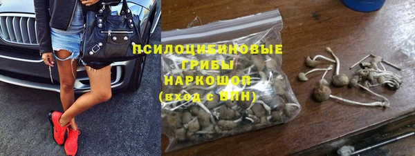 амф Краснотурьинск