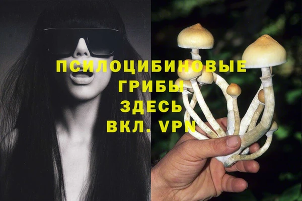ешки Лиски